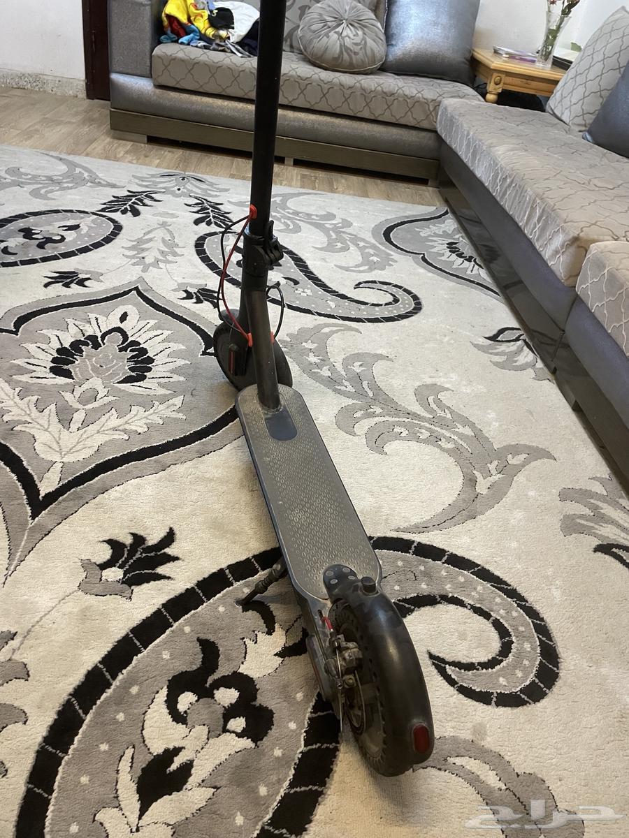 Scooter63777615745155113