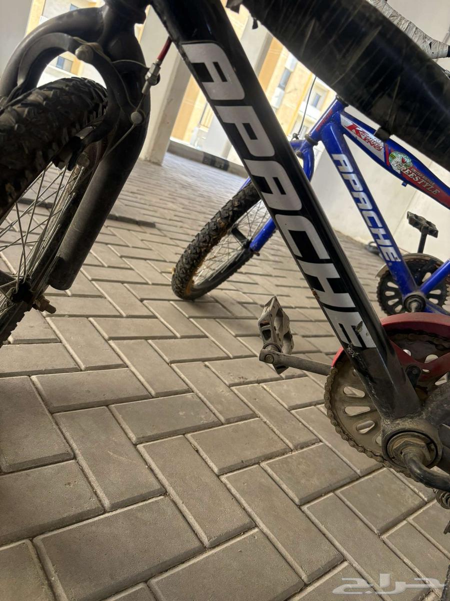 2 Cobra bikes stored for sale, each at 15063774007922945114