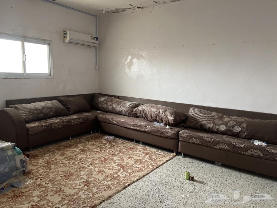 كنب للبيع63777997202305110