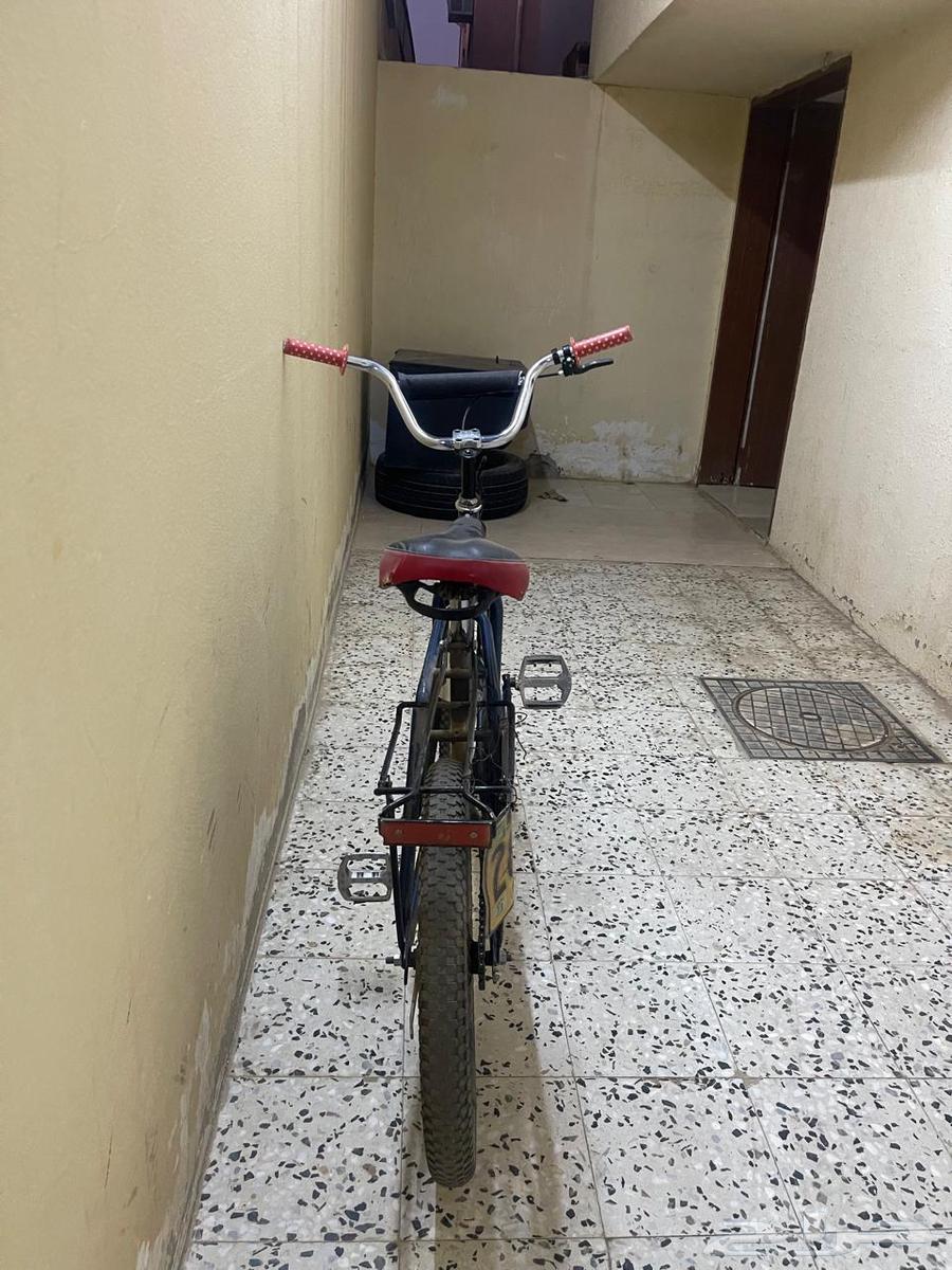 سيكل رامبو نظيف لا يشكو من شى63783686706433111
