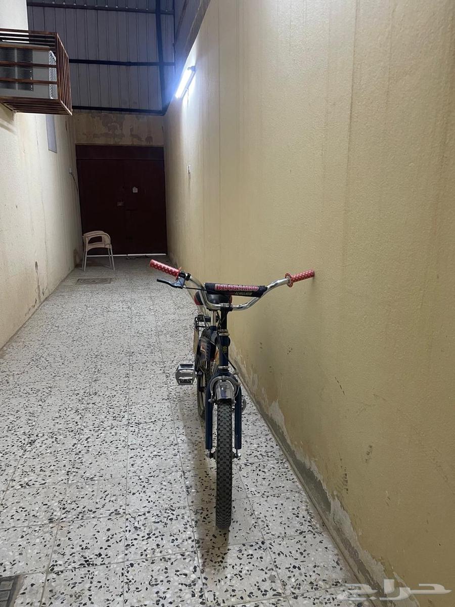 سيكل رامبو نظيف لا يشكو من شى63783686706433112