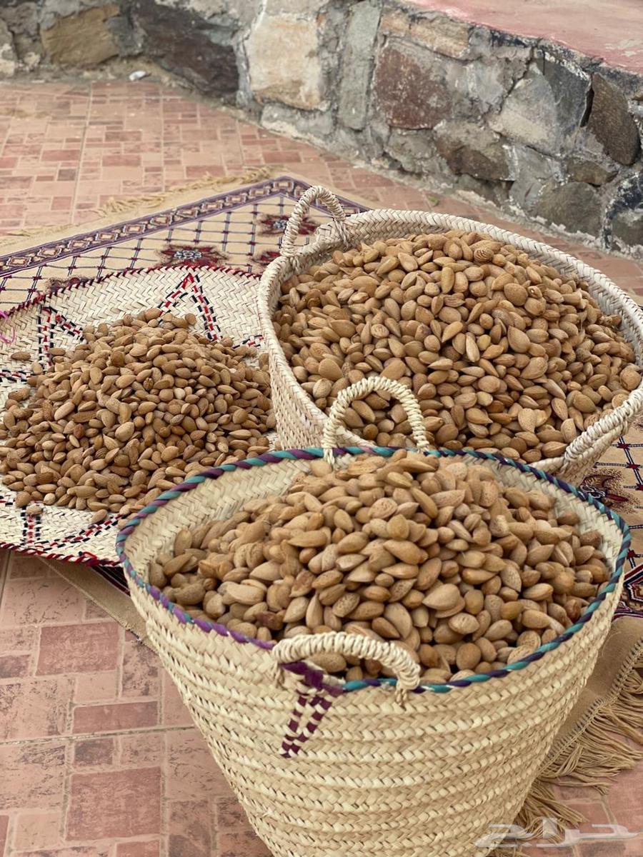 لوز الباحة البلدي63396504749827110