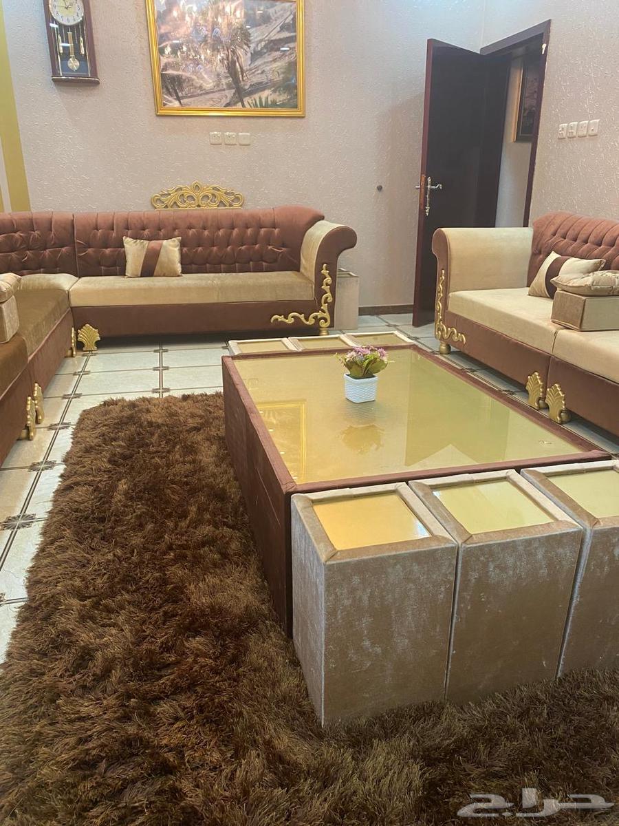 Tables with service tables, carpets, and Stear frames63787165217793113