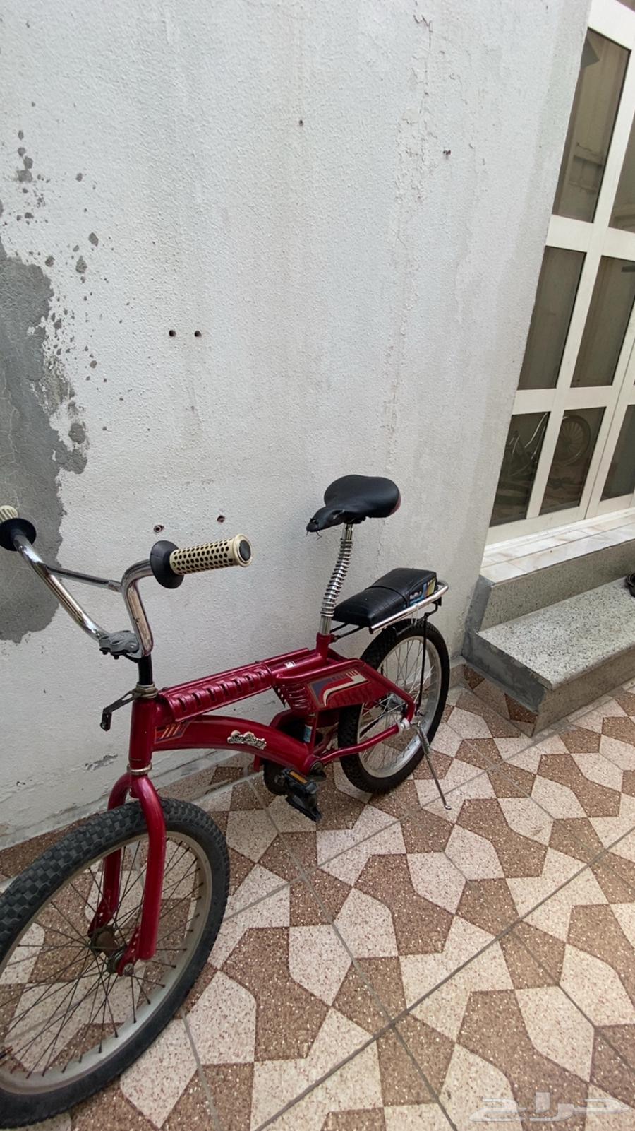 رامبو اندنوسي نادر للبيع63796135252227110