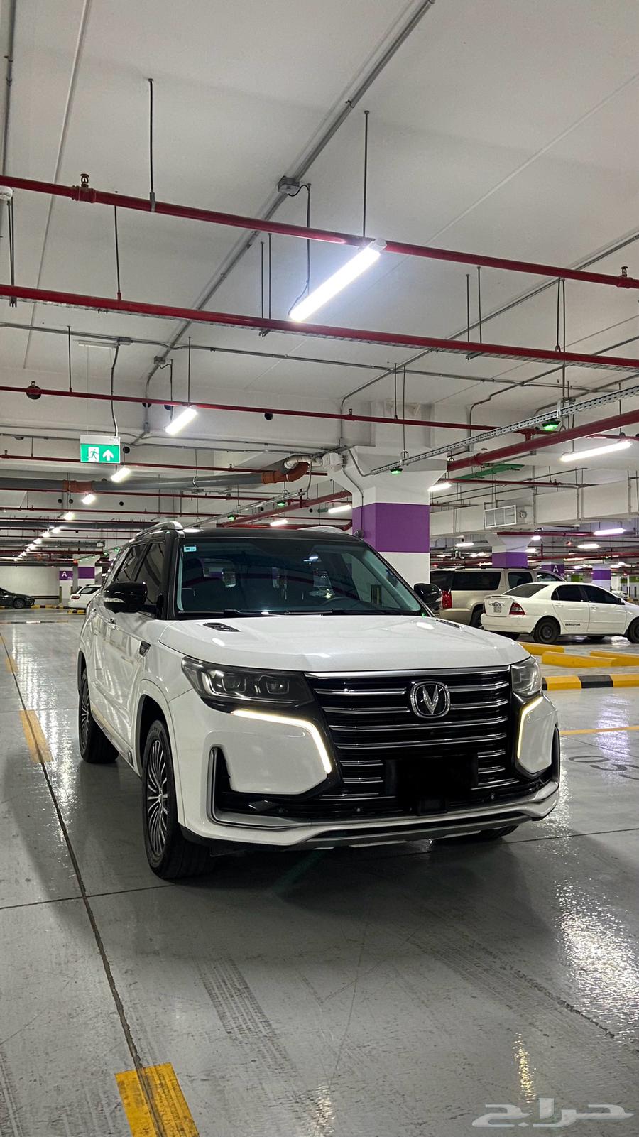 تم البيع الله يبارك لشاري63955155672065111