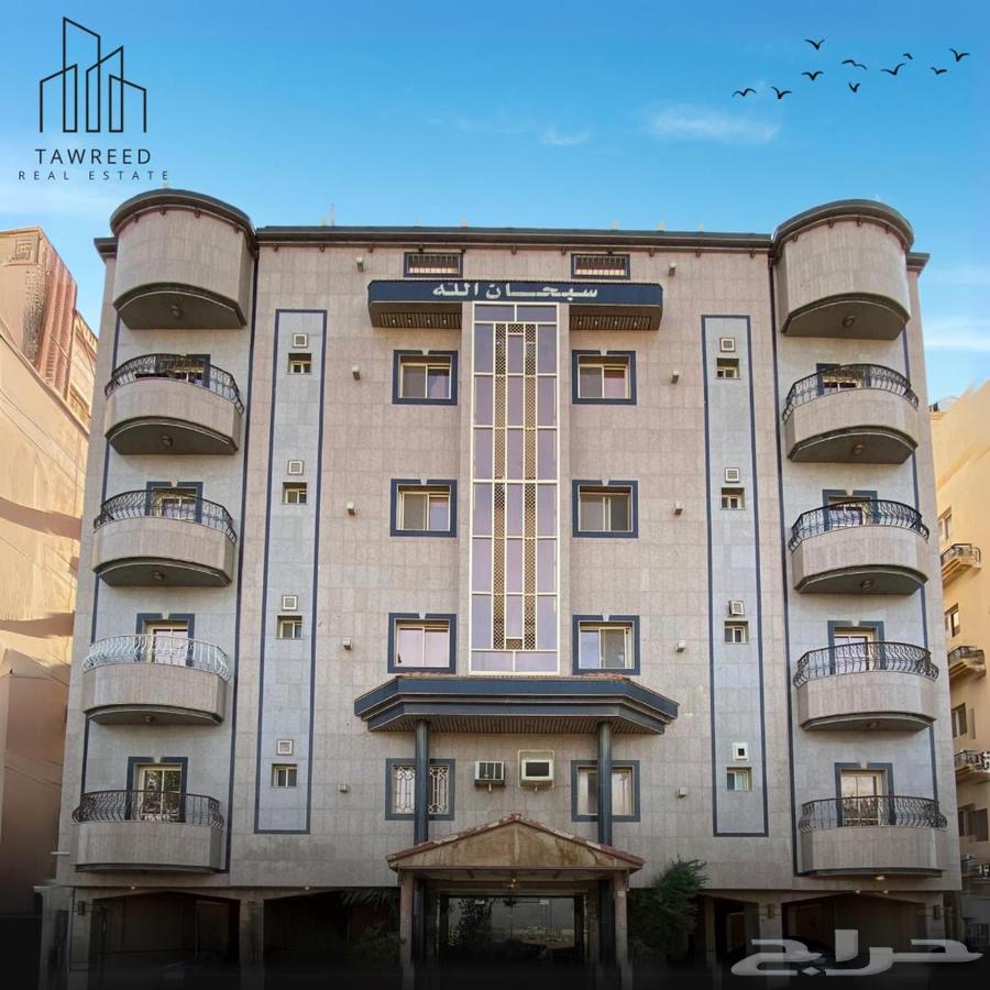 شقة للإيجار