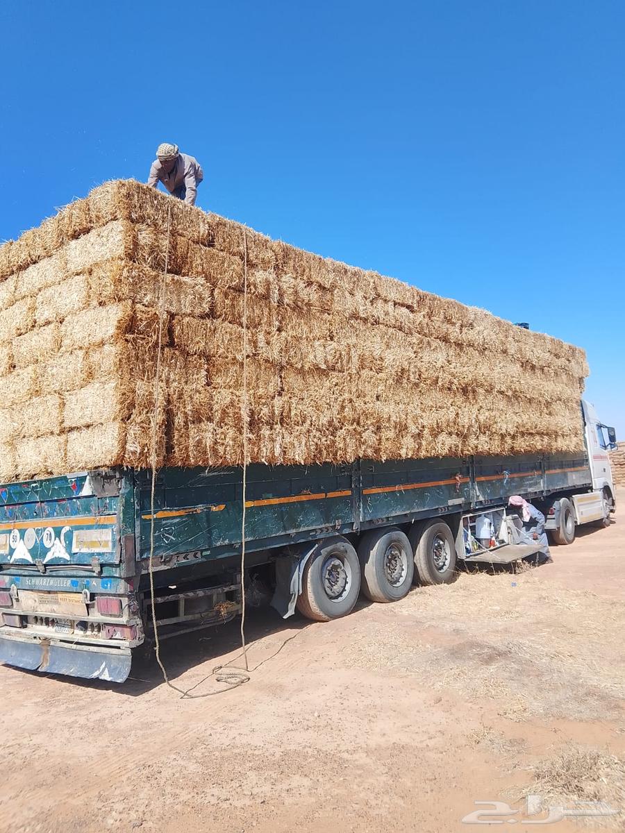 High-quality soft hay from Haiel (Cash on Delivery)63794249541505114