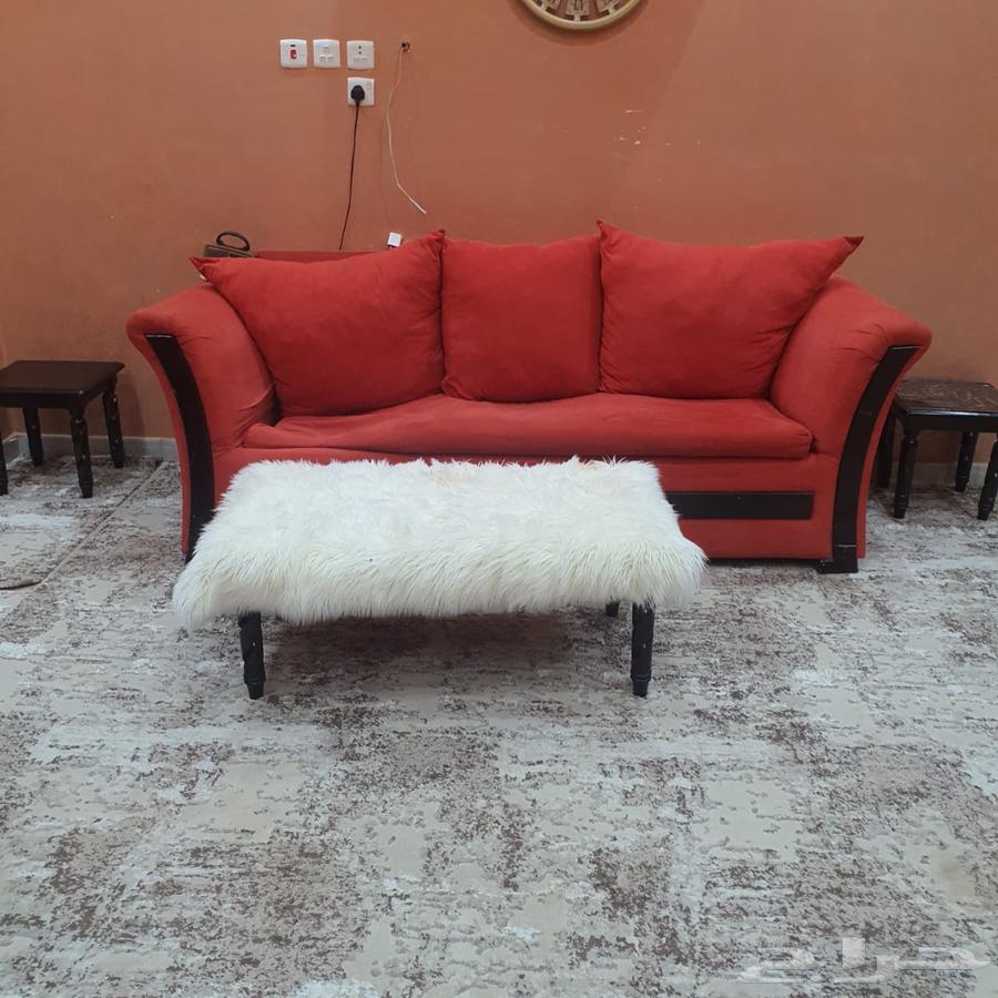 Clean sofa and bedding63798201397635111