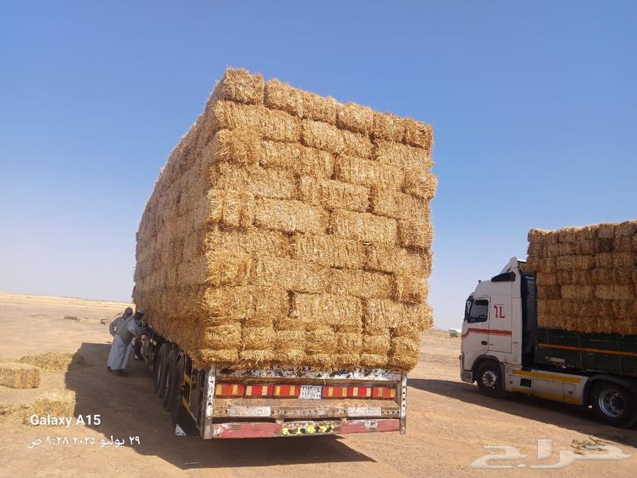 High-quality soft hay from Haiel (Cash on Delivery)63794249541505113