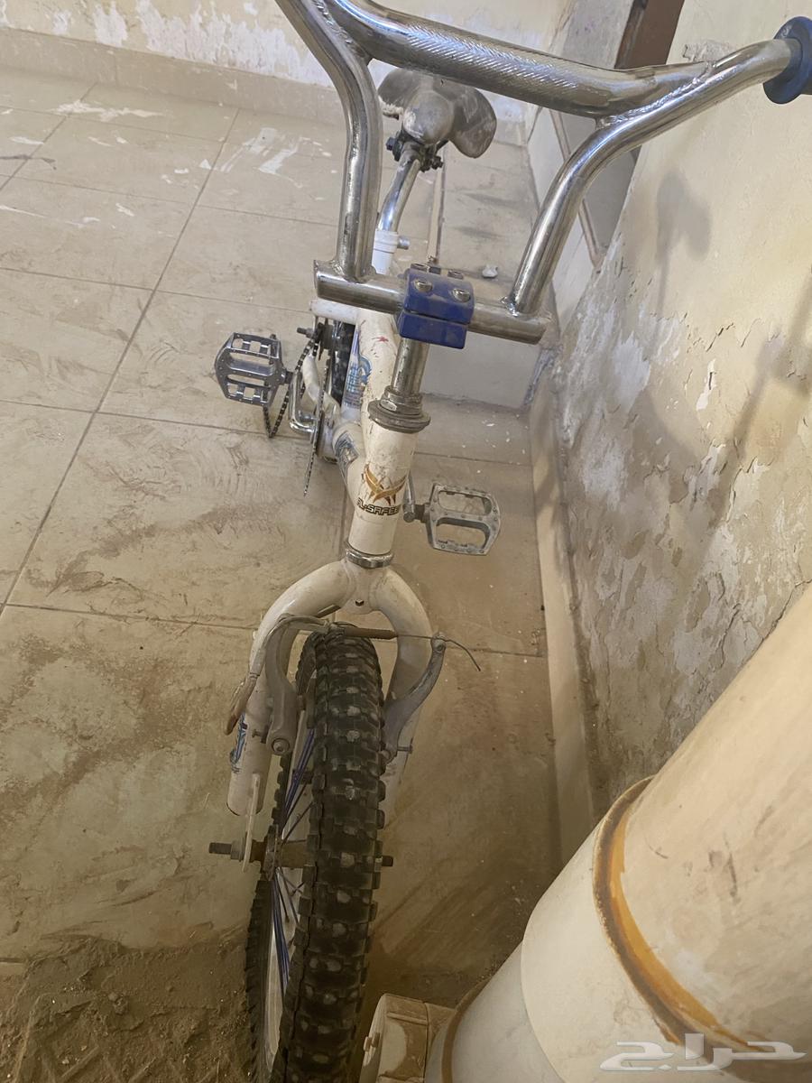 سيكل رامبو للبيع63796449508355111