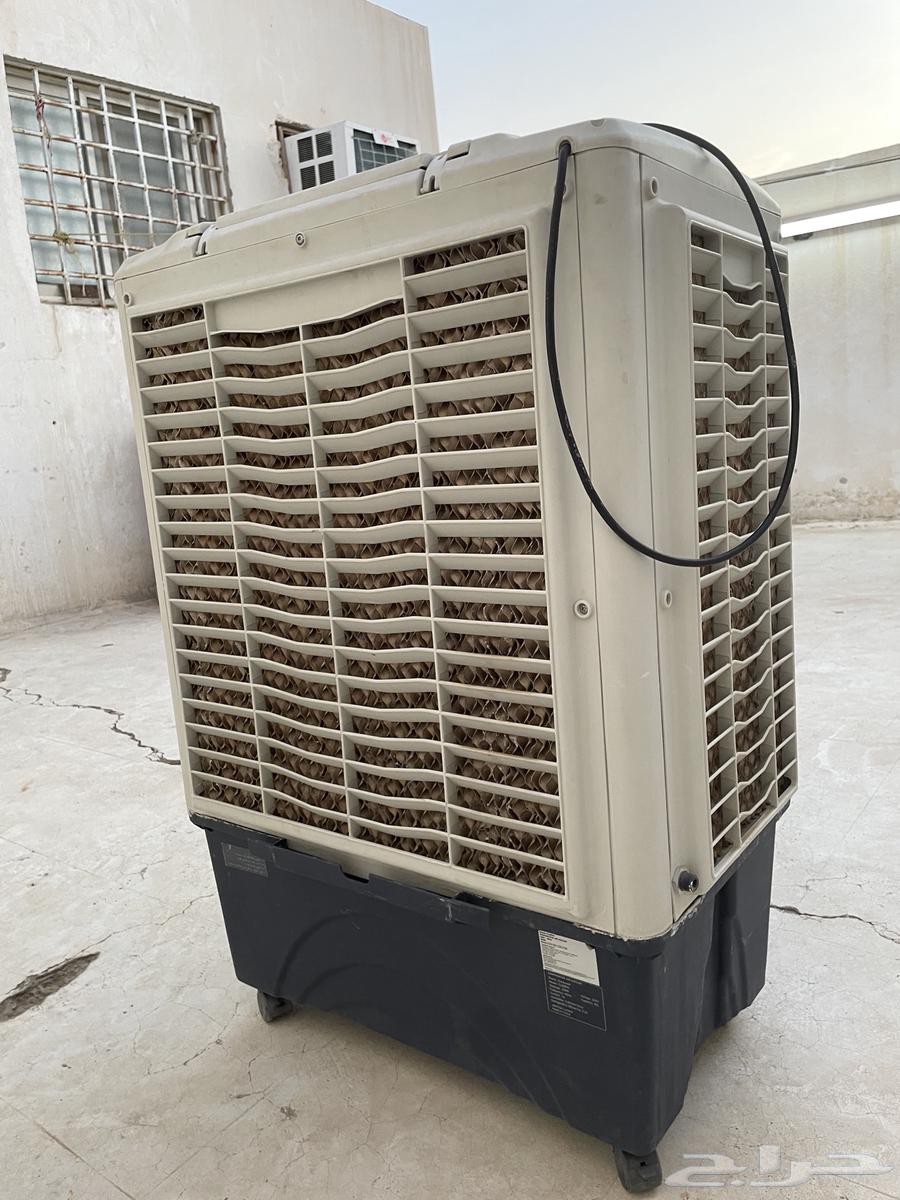 Refrigerator, oven, desert cooler, carpet63789901206785114