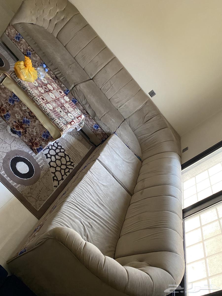 Five-meter corner sofa with table (no exchange)63793163697666110