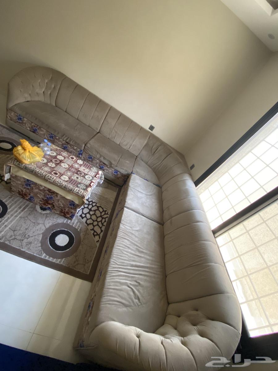 Five-meter corner sofa with table (no exchange)63793163697666111