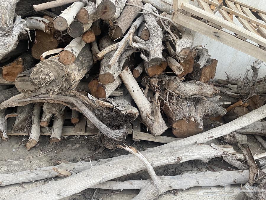 Tree Branches and Trunks63796135439617114
