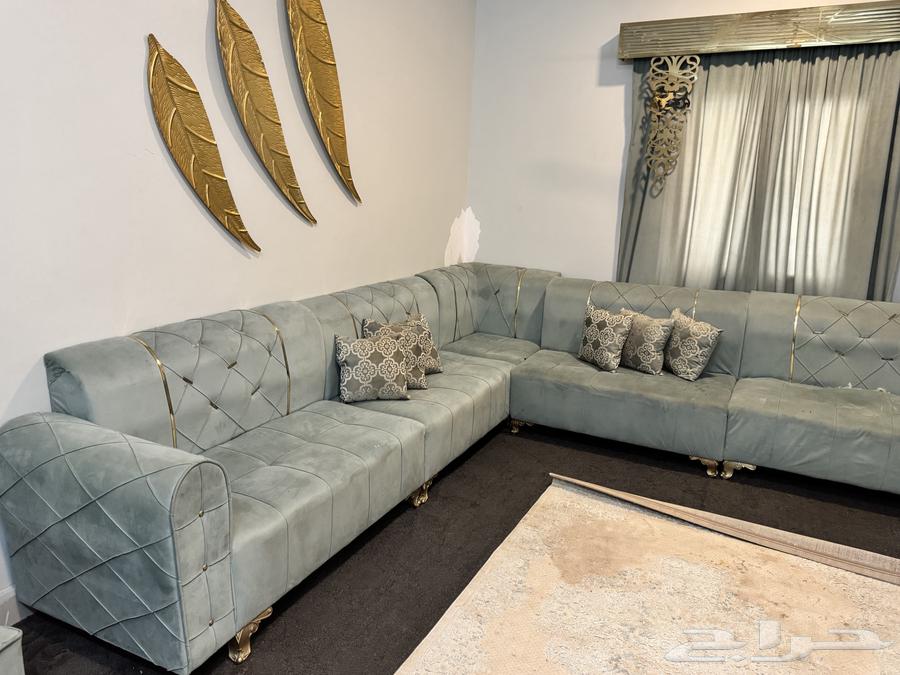 Sofa with curtain and carpet for sale for 500, the sofa has a tear63792222944515110