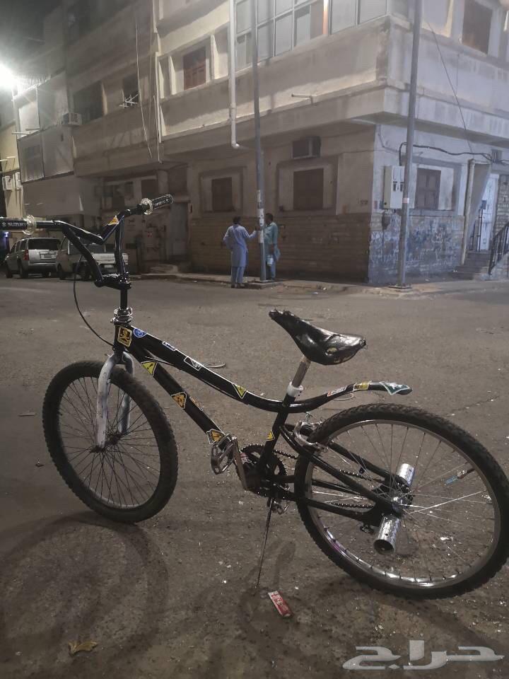 سيكل كوبرا مقاس 24 للبيع ب 30063790000003970110