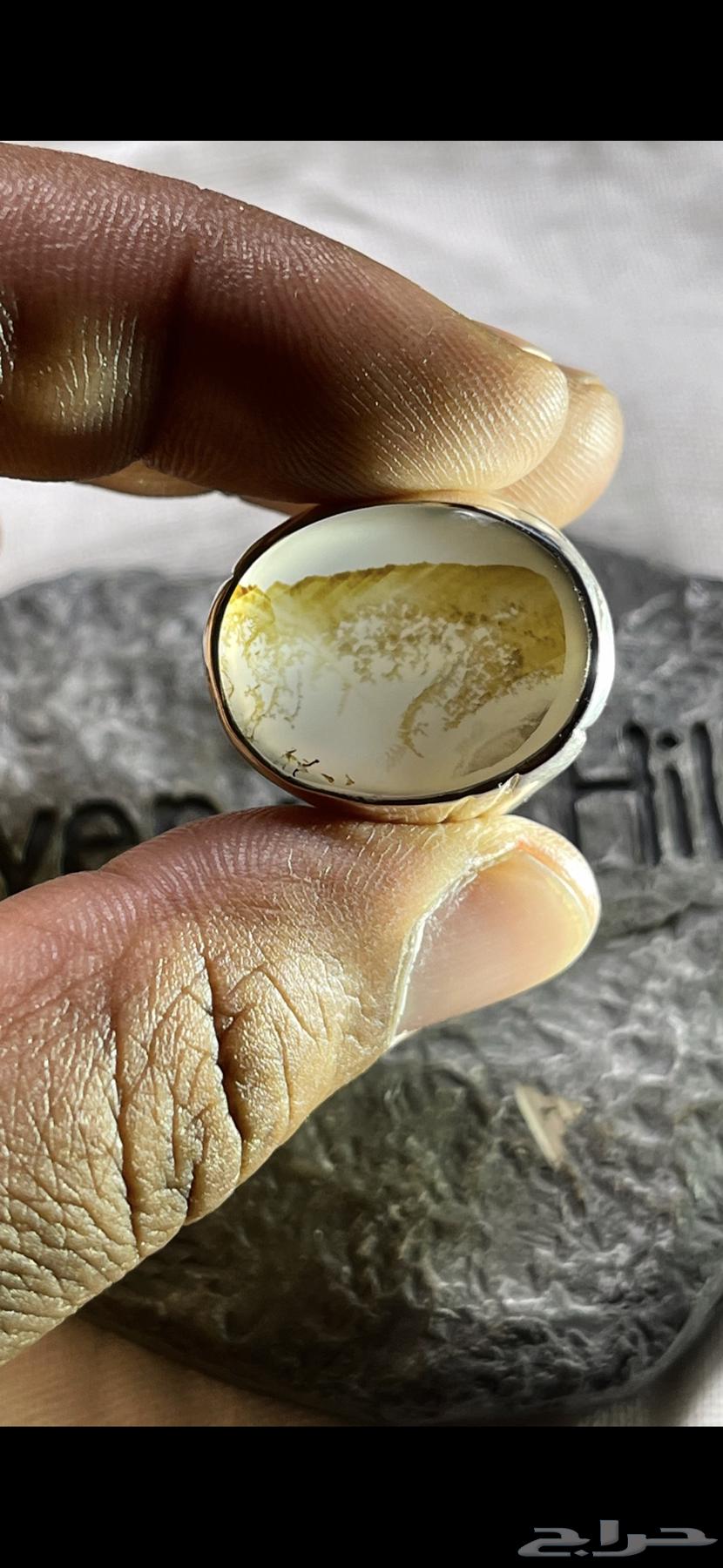 Veined Agate Ring63619059372162113