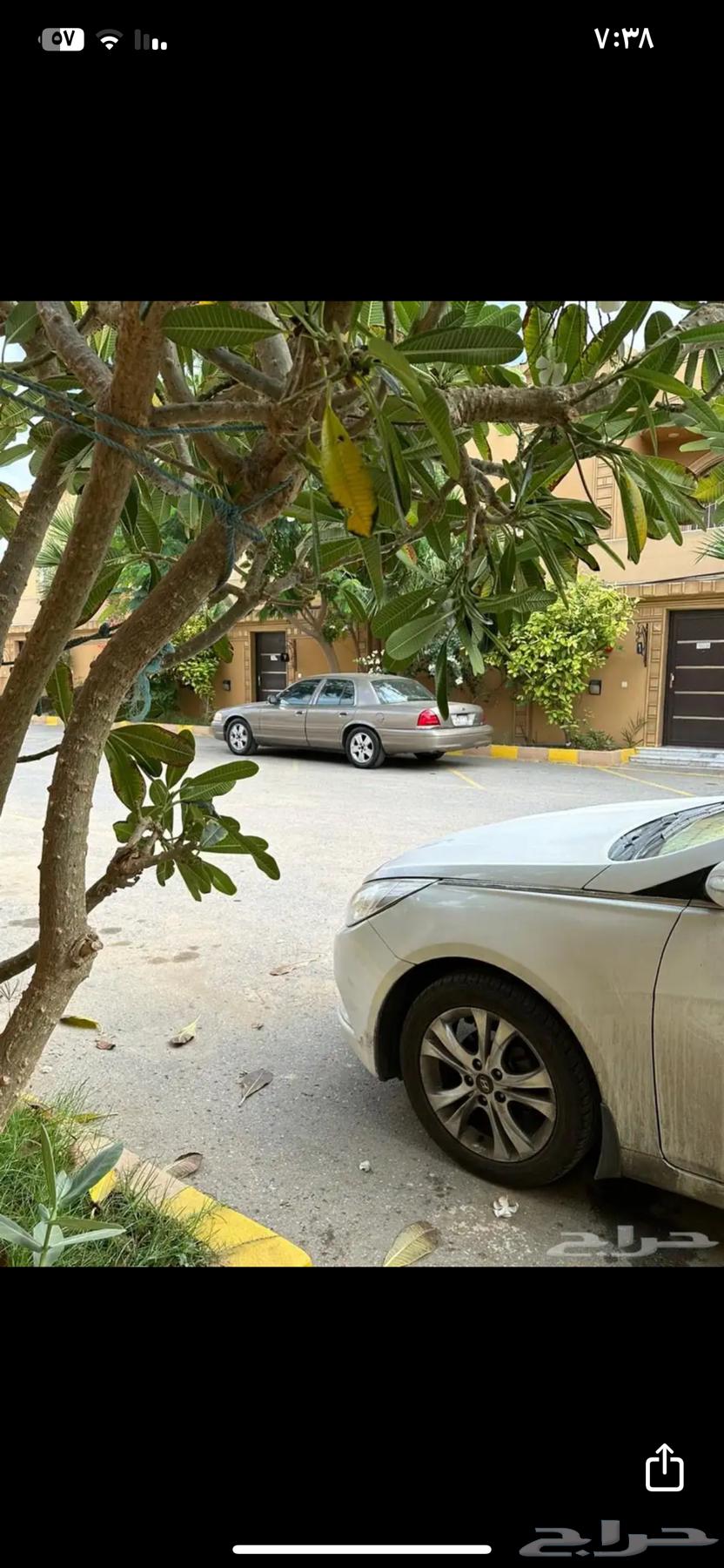 فورد 200463934444782082112