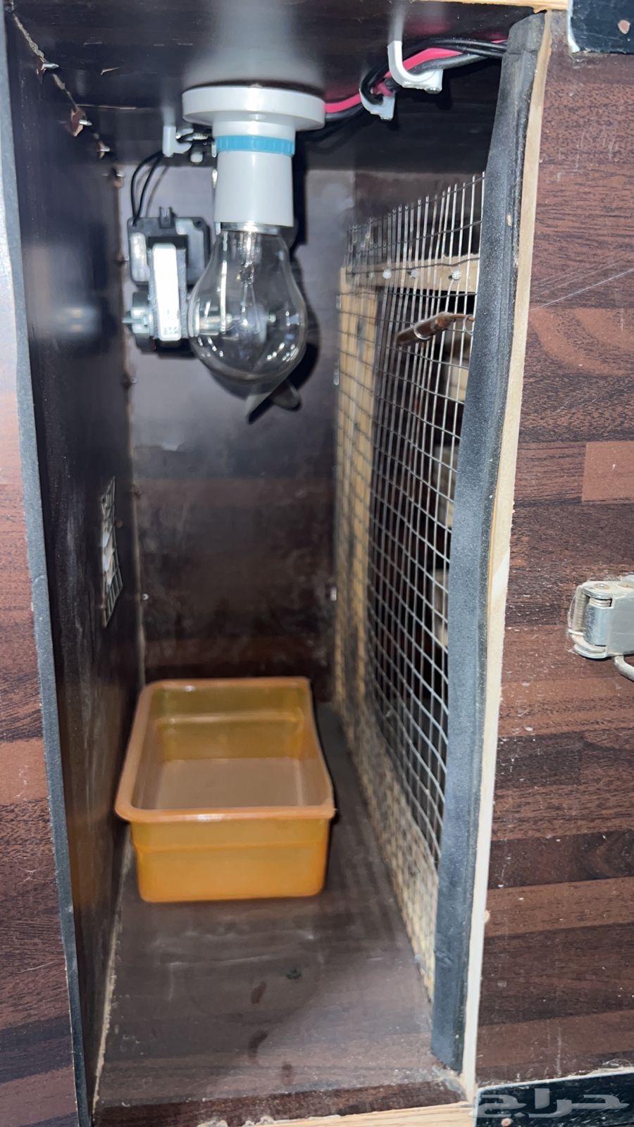 Egg incubator63791539612290110