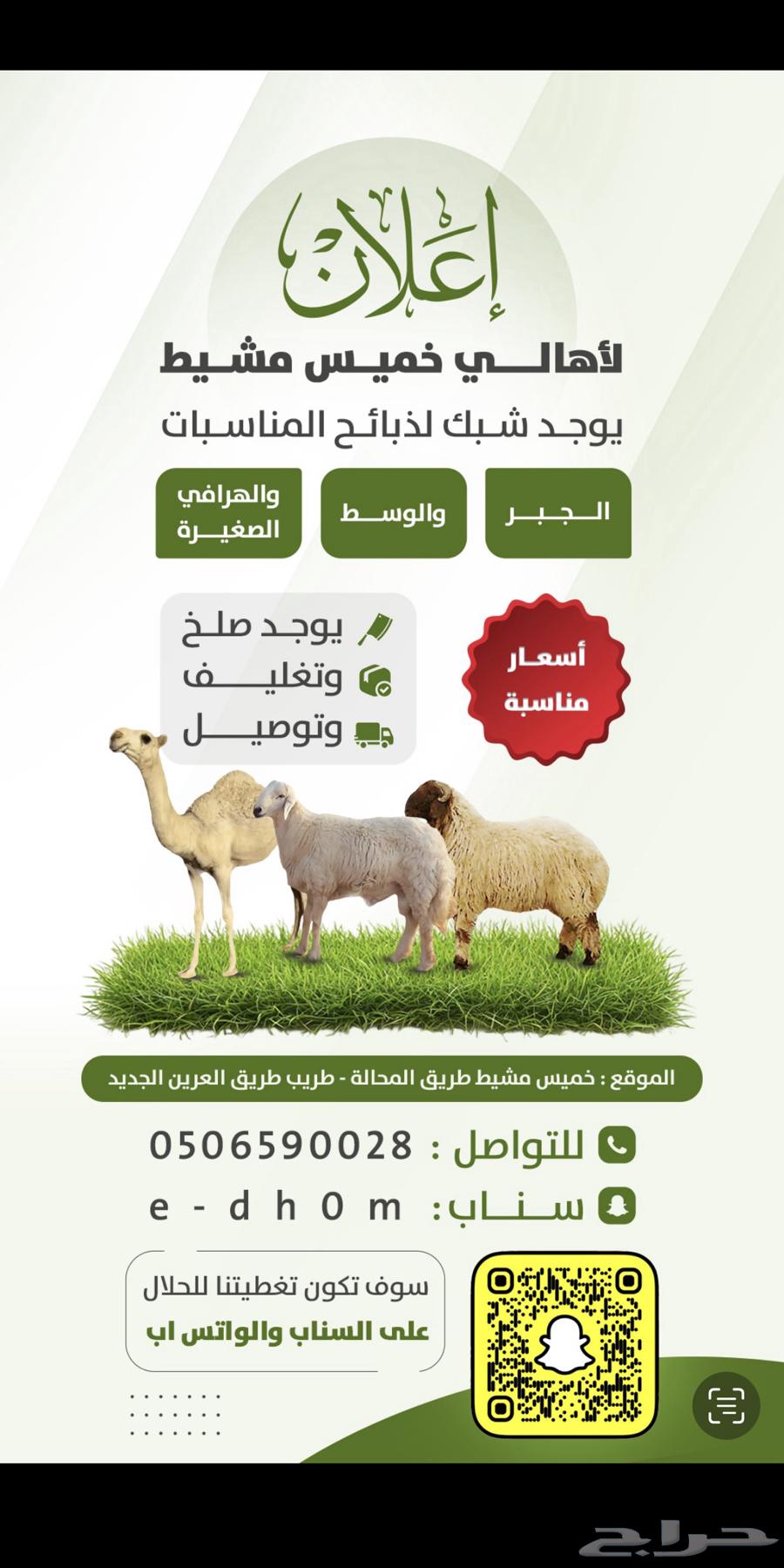 Lamb shoulder and back meat, cleaned and trimmed (expanded)63794890251651113