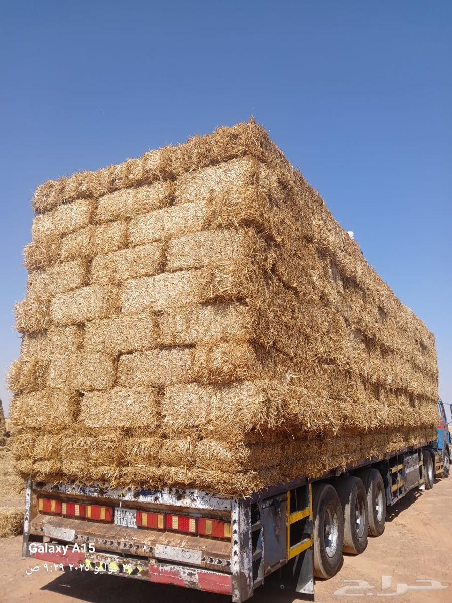 High-quality soft hay from Haiel (Cash on Delivery)63794249541505112