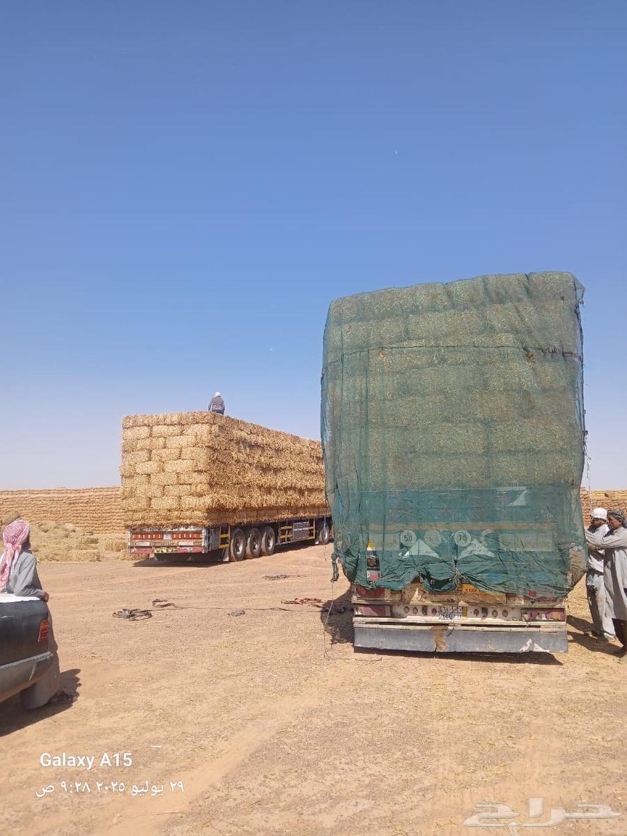 High-quality soft hay from Haiel (Cash on Delivery)63794249541505110