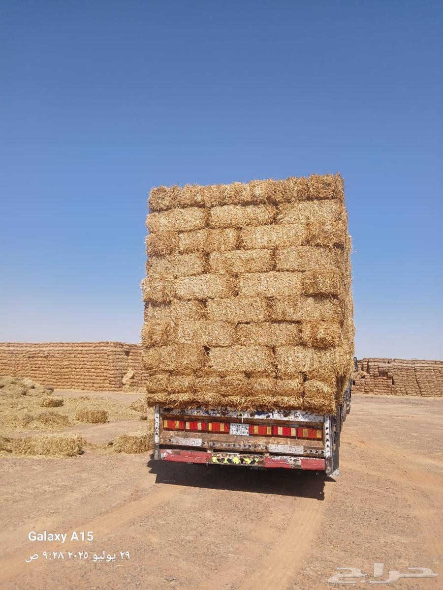 High-quality soft hay from Haiel (Cash on Delivery)63794249541505111