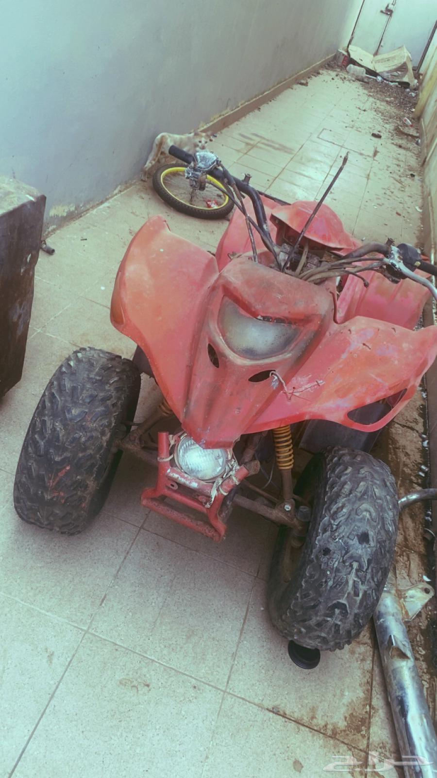 Adly 100 new tank needs carburetor and pedal wire63964624457218112