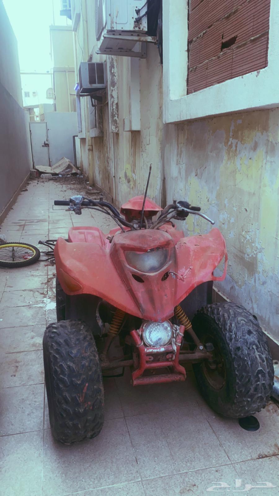 Adly 100 new tank needs carburetor and pedal wire63964624457218111