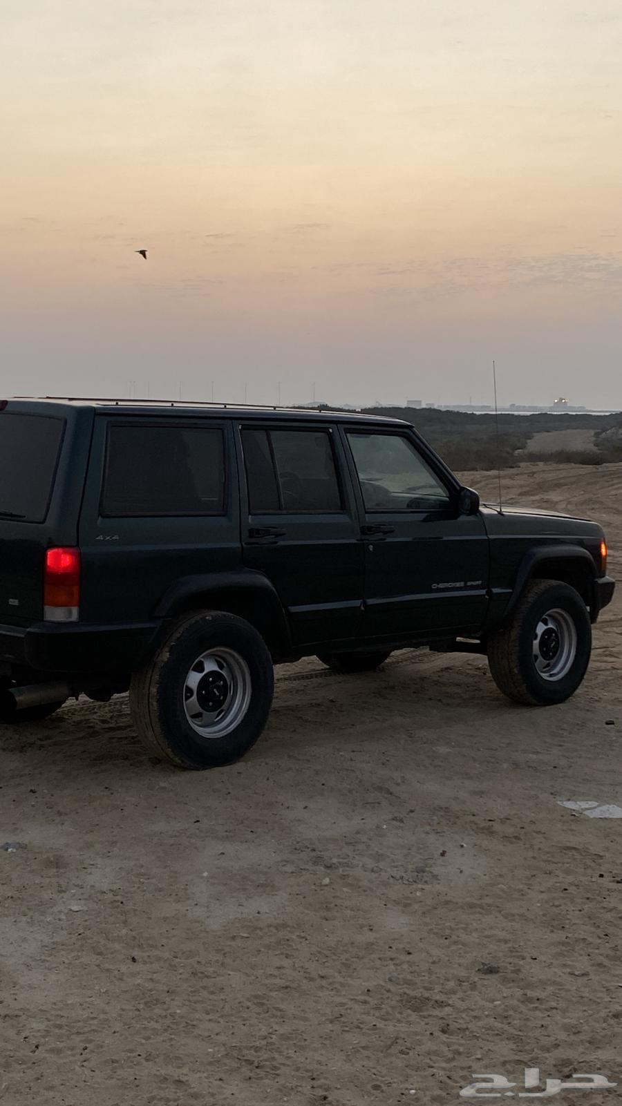جيب شروكي 200063618046061186114