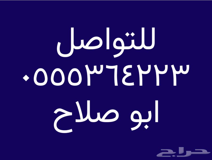 شقة للإيجار