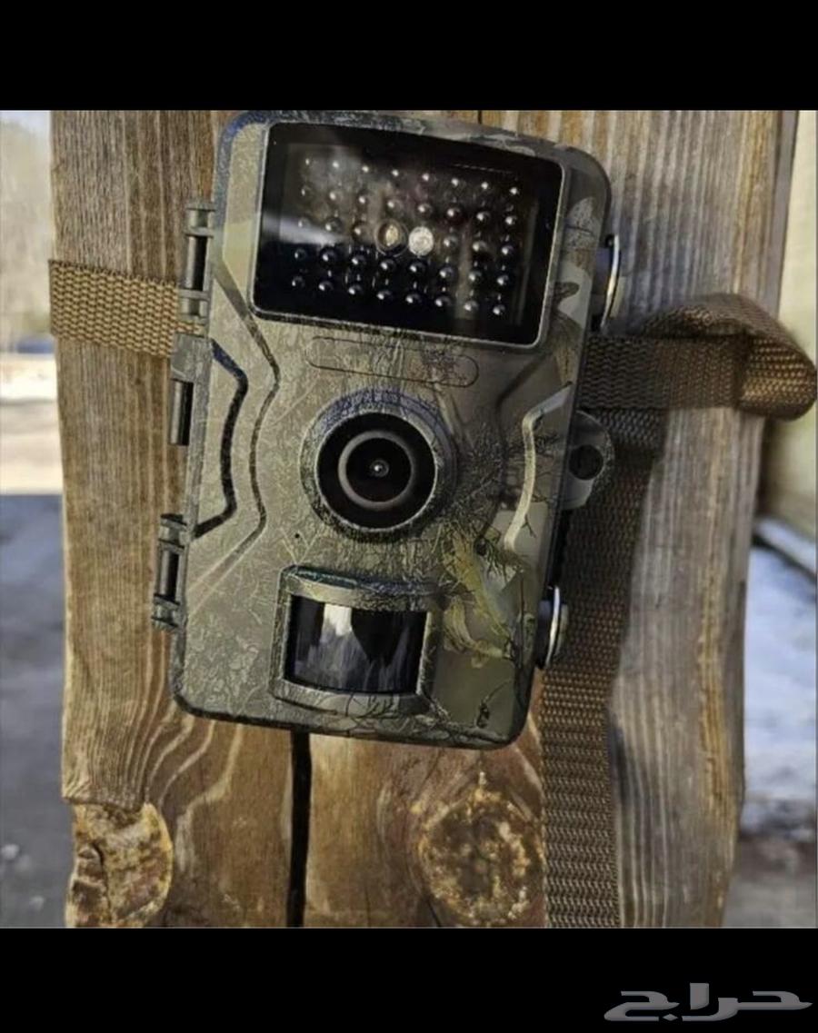 Wildlife Camera63655226015234112