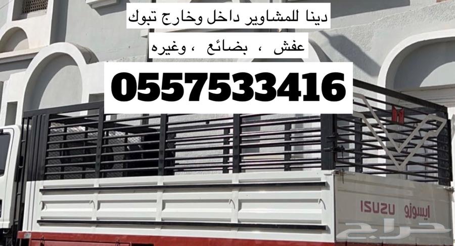 دينا ايسوزو63613406711169110