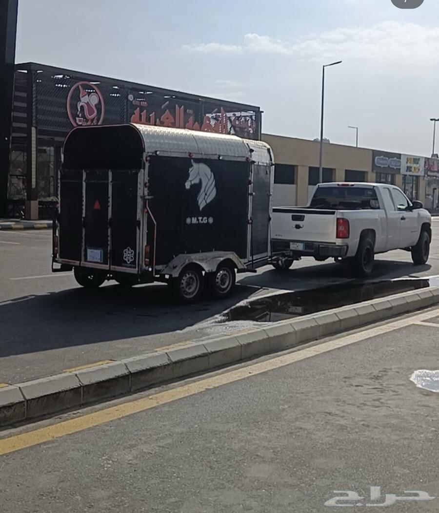عربه خيل63613398795139110