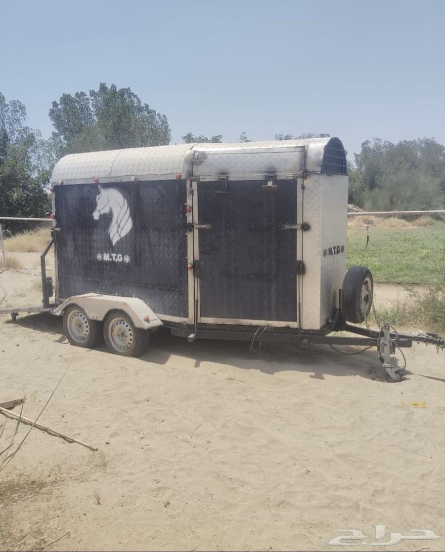 عربه خيل63613398795139114