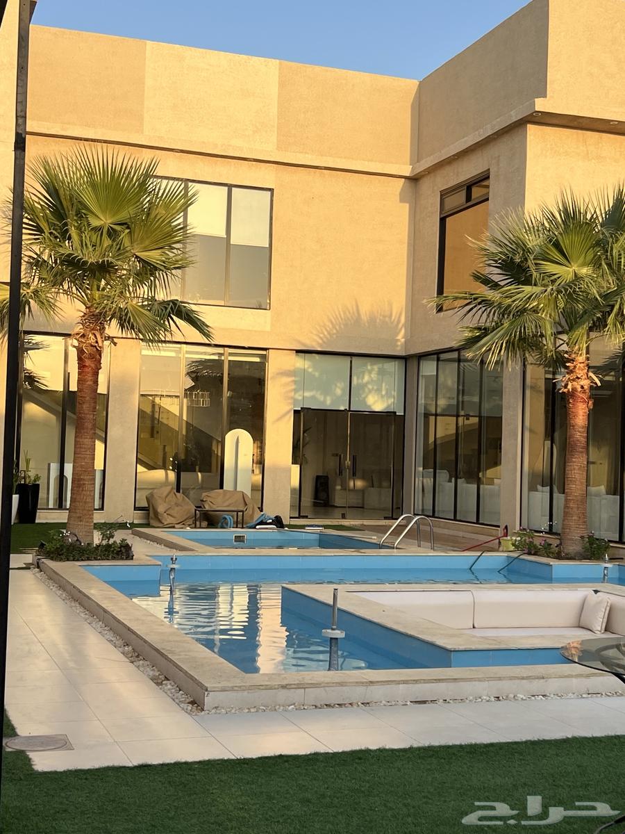 Palm and Olive Coordination63812506481537113