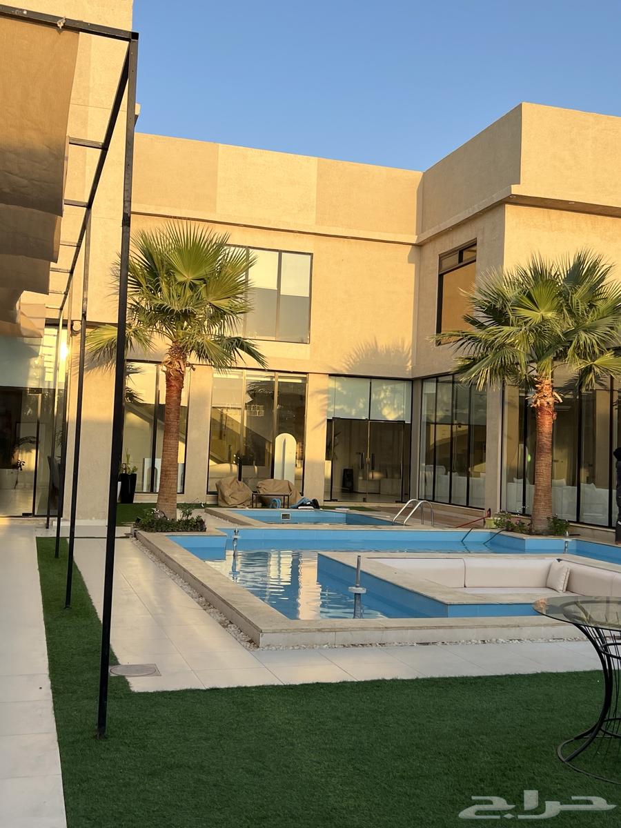 Palm and Olive Coordination63812506481537114