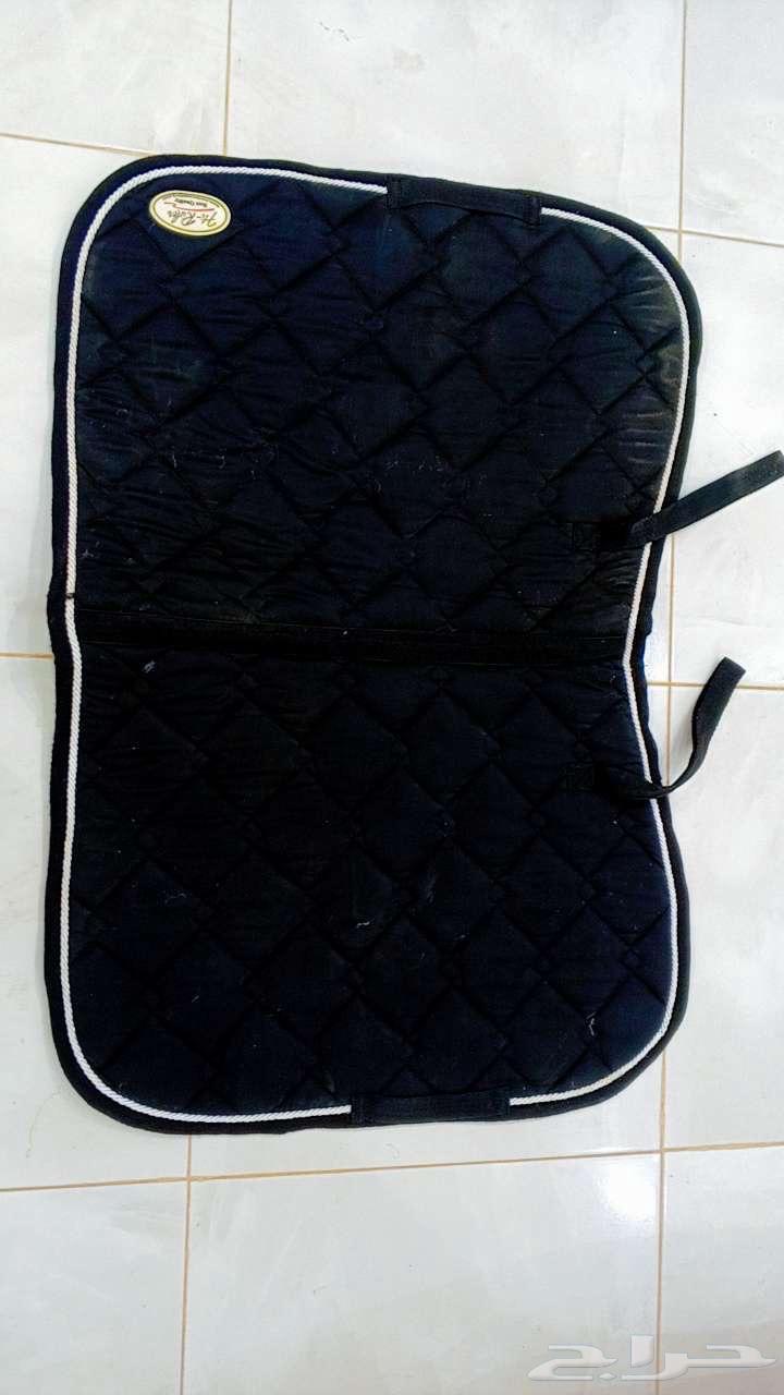 سرج خيل سيتروس كامل نظيف اخو الجديد على السوم و صدريه زينه63801542717955111