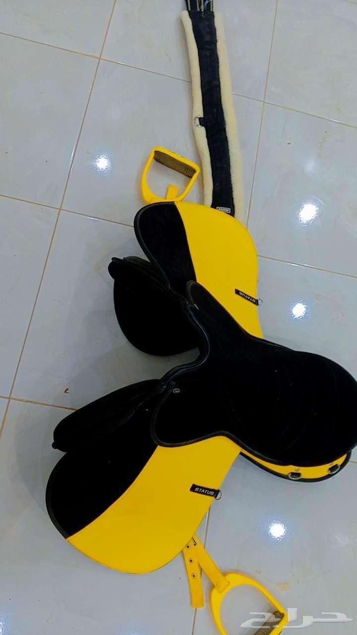 سرج خيل سيتروس كامل نظيف اخو الجديد على السوم و صدريه زينه63801542717955112