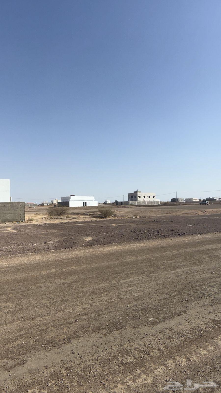 Land for sale in the first Al-Suwaidrah plan in Al-Madinah Al-Munawwarah63381159382659112