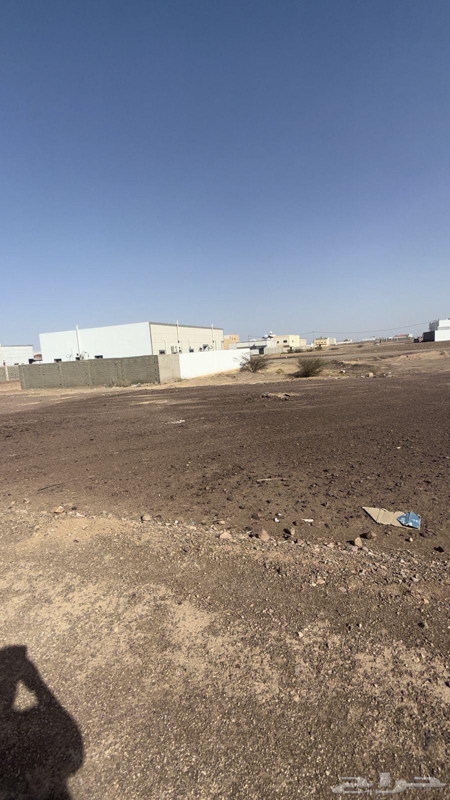 Land for sale in the first Al-Suwaidrah plan in Al-Madinah Al-Munawwarah63381159382659113