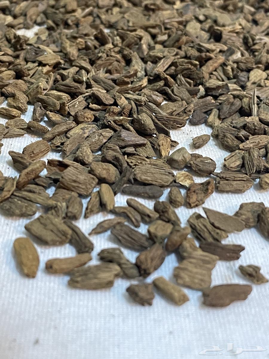 دقة عود مروكي صغيره جدا (فصفص)64454305289985110