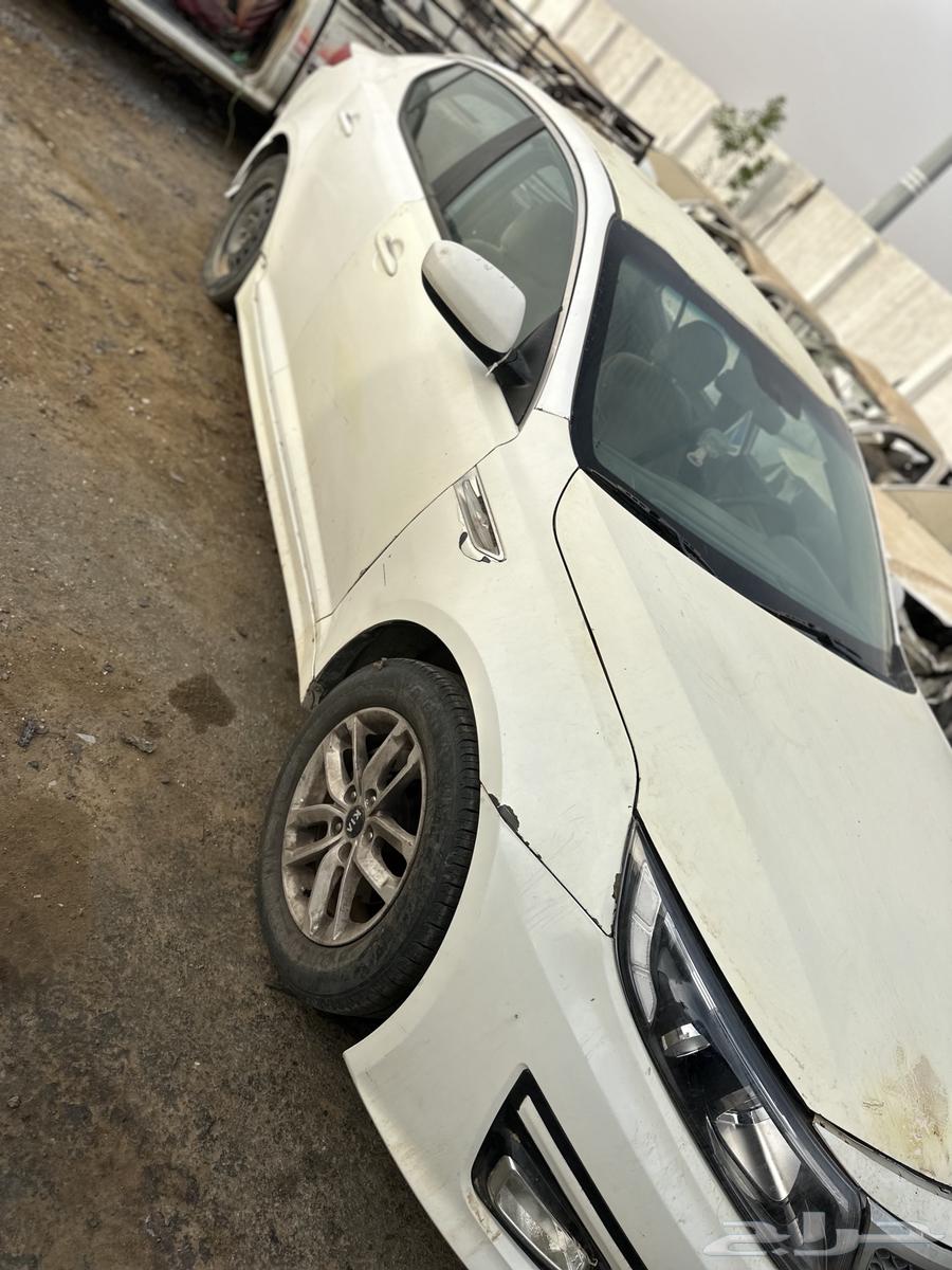 Scrap Optima 201464004968146433112
