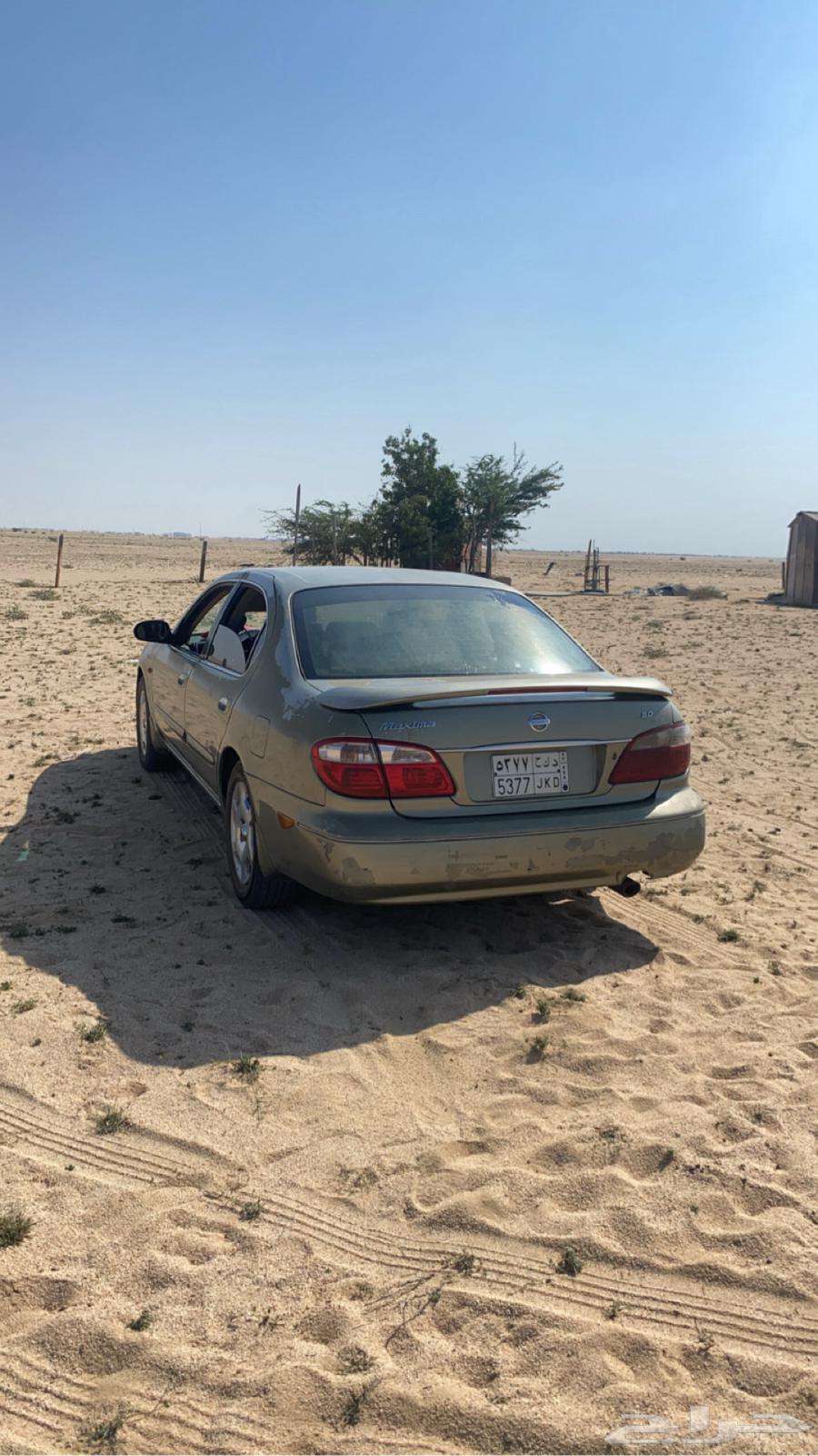 Maxima 200264018902921345114