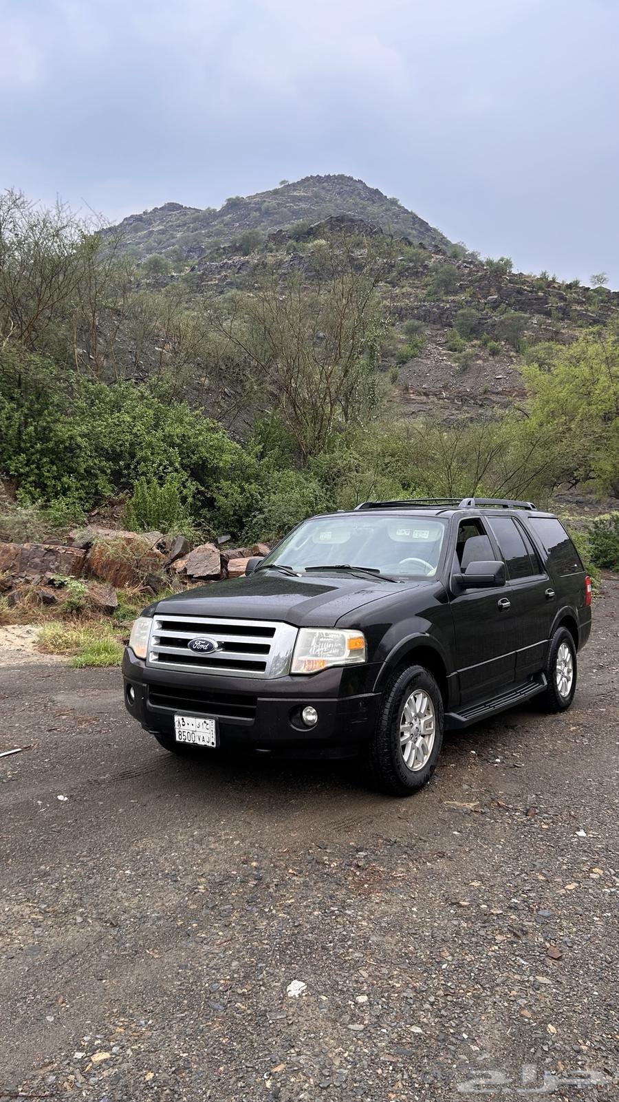 Ford Expedition 201364023824244098110