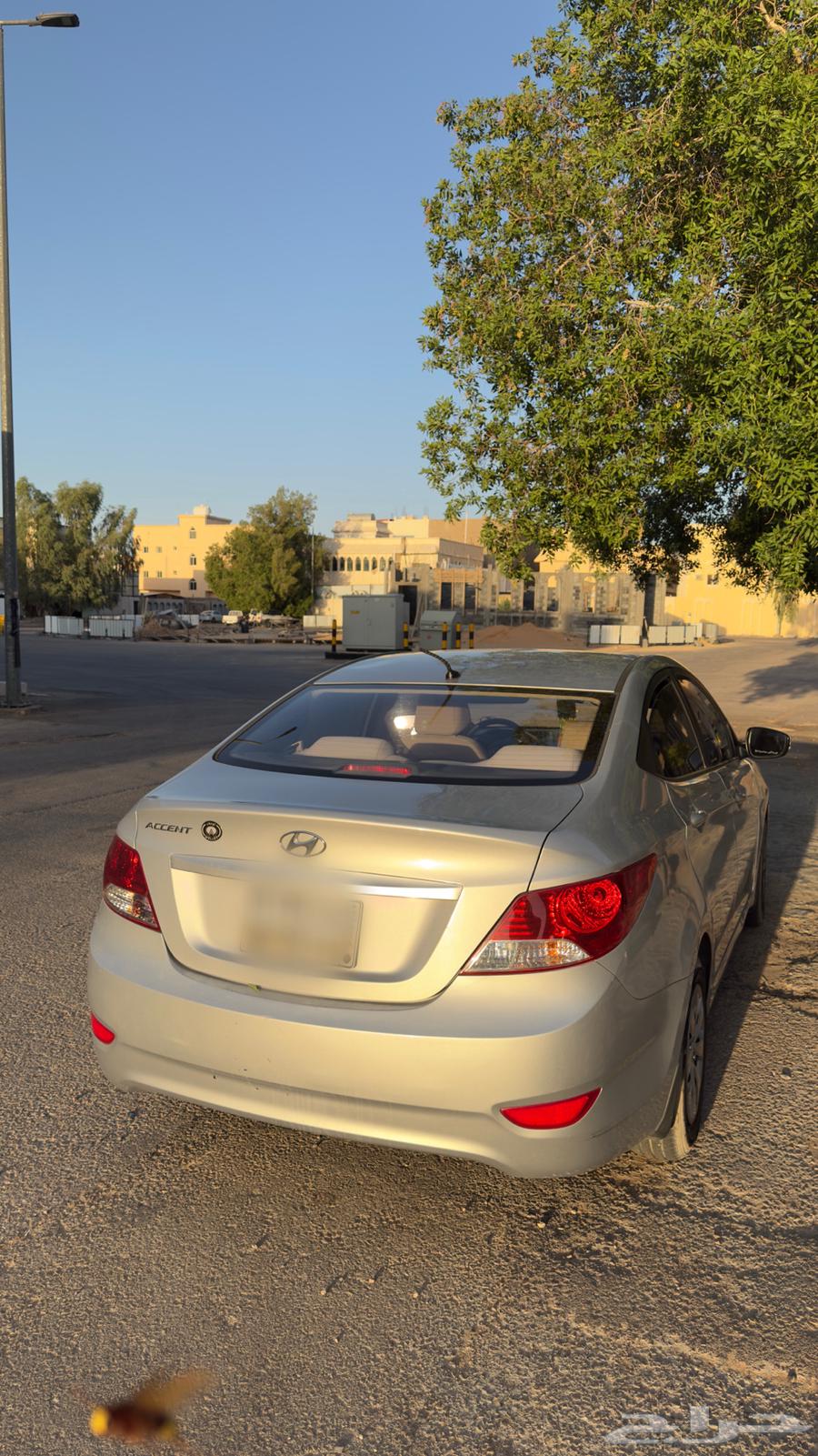 اكسنت 201864024149374595110