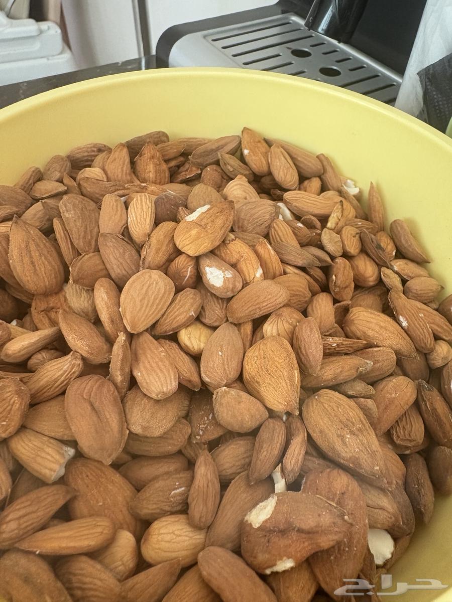 لباب لوز الباحة البلدي63832096187521110