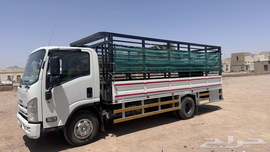 Dina Mesh 6 Meter for Trips63613657334913111