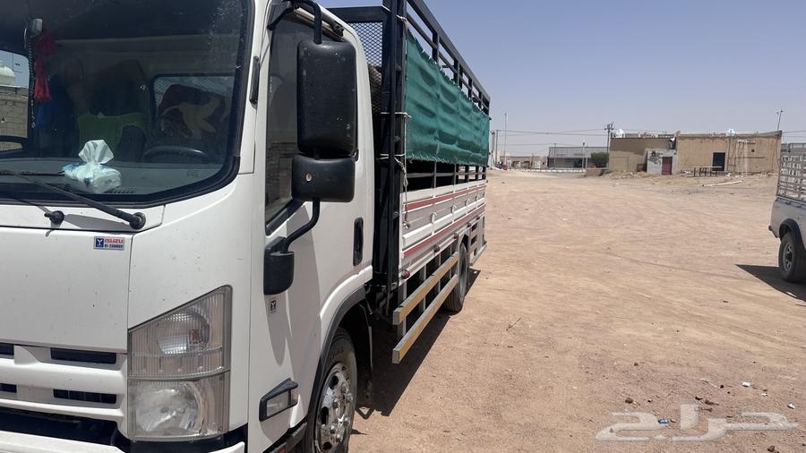 Dina Mesh 6 Meter for Trips63613657334913112