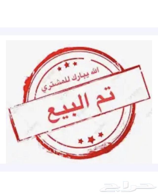 ذبايح تيوس جنوبيه فل شحم ( تم البيع )63793362811649110